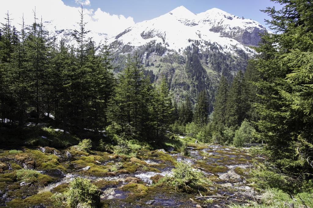Gasthof Andrelwirt Rauris Esterno foto
